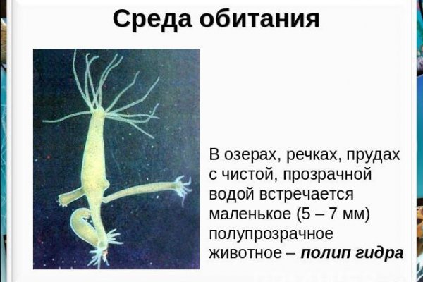 Как войти на кракен