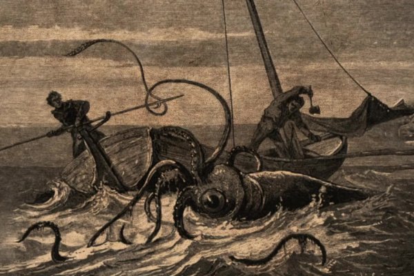 Кракен даркнет kraken link24 info