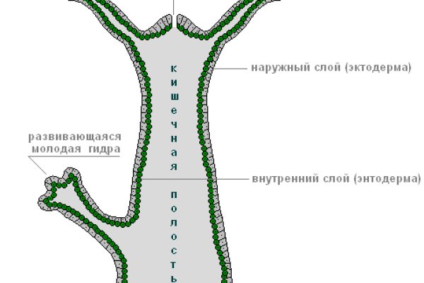 Только через тор кракен