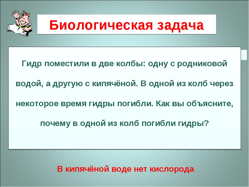 Кракен перестал работать