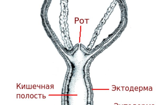 Кракен даркнет store kraken dark link