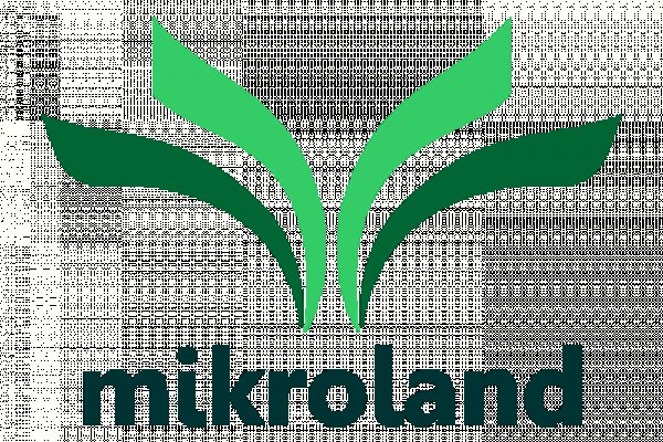 Кракен шоп зеркало