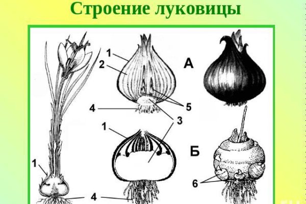 Krn 2at