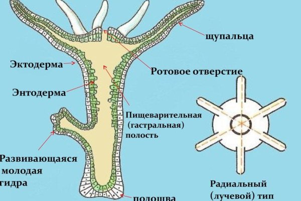 Кракен магазин kraken clear com