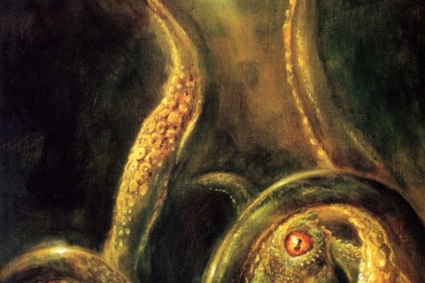 Не работает сайт kraken